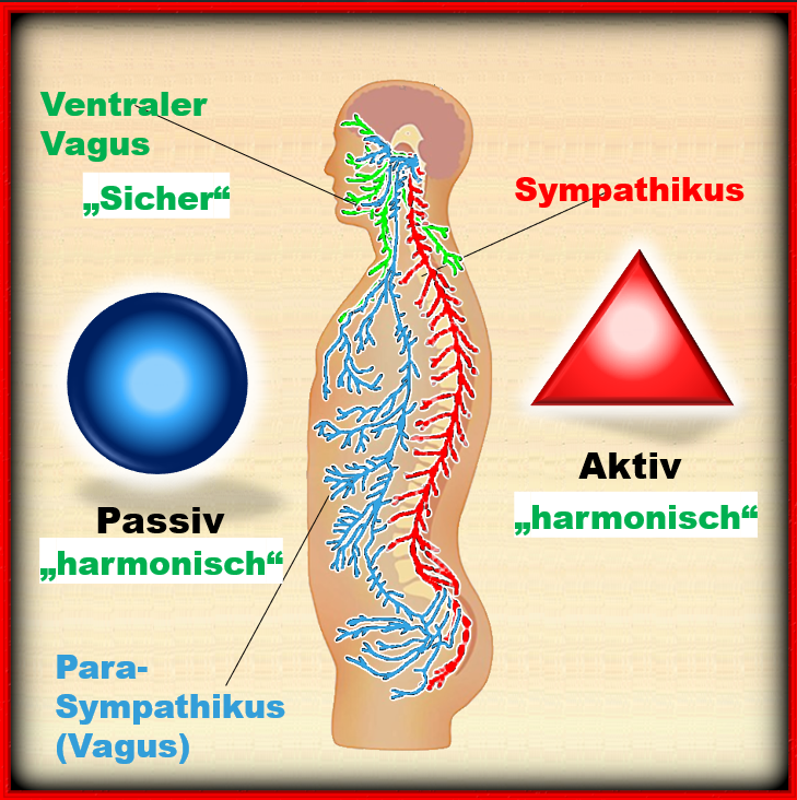 Polyvagaltheorie_kohaerente_Stimme